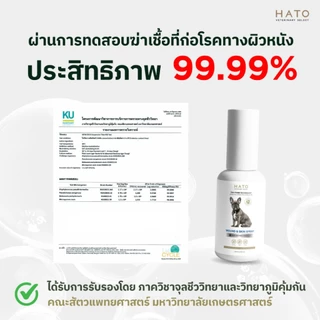 WOUND & SKIN SPRAY สเปรย์ดูแลผิวหนังและแผล สำหรับสัตว์เลี้ยง By HATO (HATO VETERINARY SELECT)