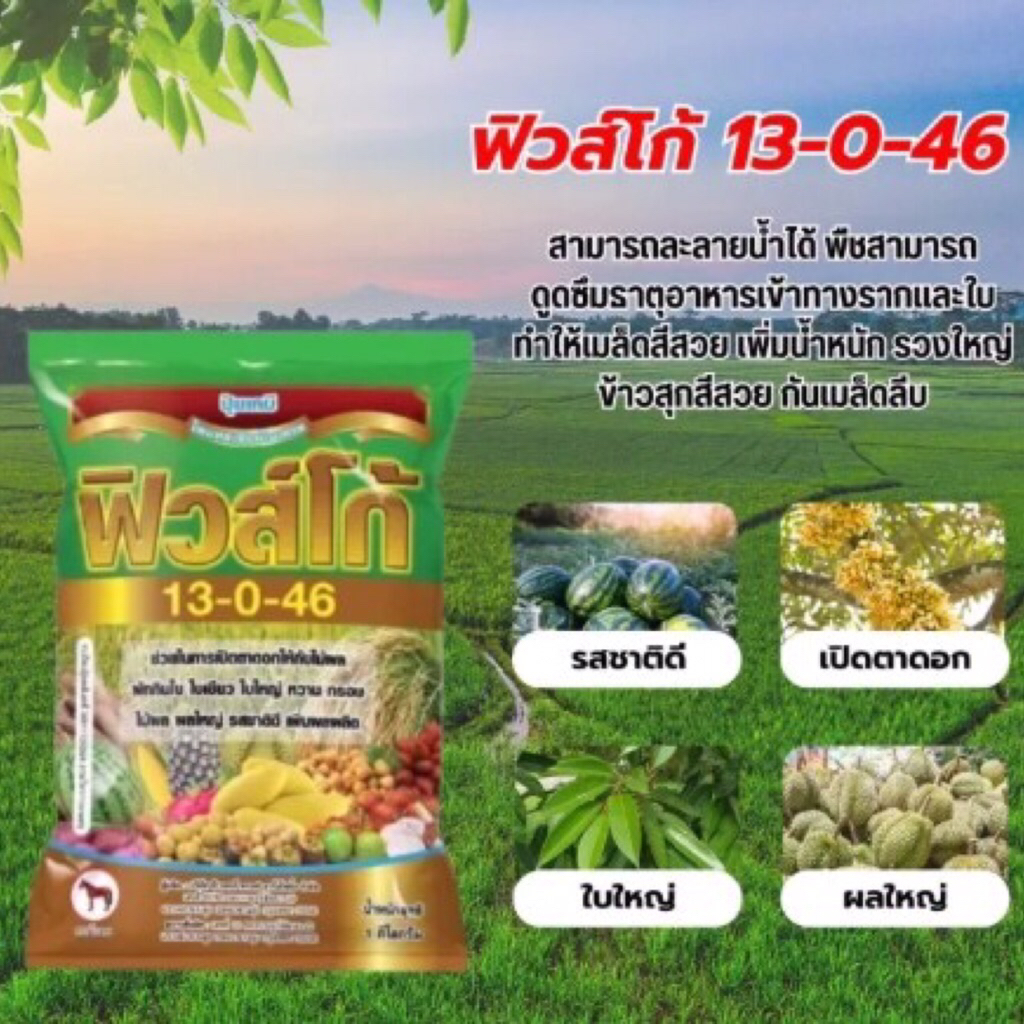ปุ๋ยเกล็ดฟิวส์โก้ 13-0-46 พรีเมี่ยม (1กก.)