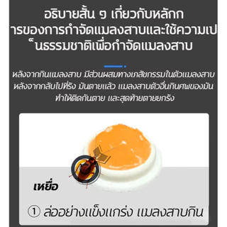 HLHB💥แมลงสาบตายทั้งรัง💥 ซื้อ3 แถม2 ยาฆ่าแมลงสาบ 40pcs ฆ่าแมลงสาบ กำจัดแมลงสาบ 8ชิ้น/กล่อง ยากำจัดแมลงสาบ เจลกำจัดแมลงสาบ