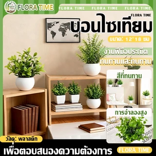 บอนไซเทียม ไม้ประดับ ดีไซน์โมเดิร์น ขนาดเล็ก สําหรับตกแต่งบ้าน สวน โต๊ะรับประทานอาหาร ห้องนอน