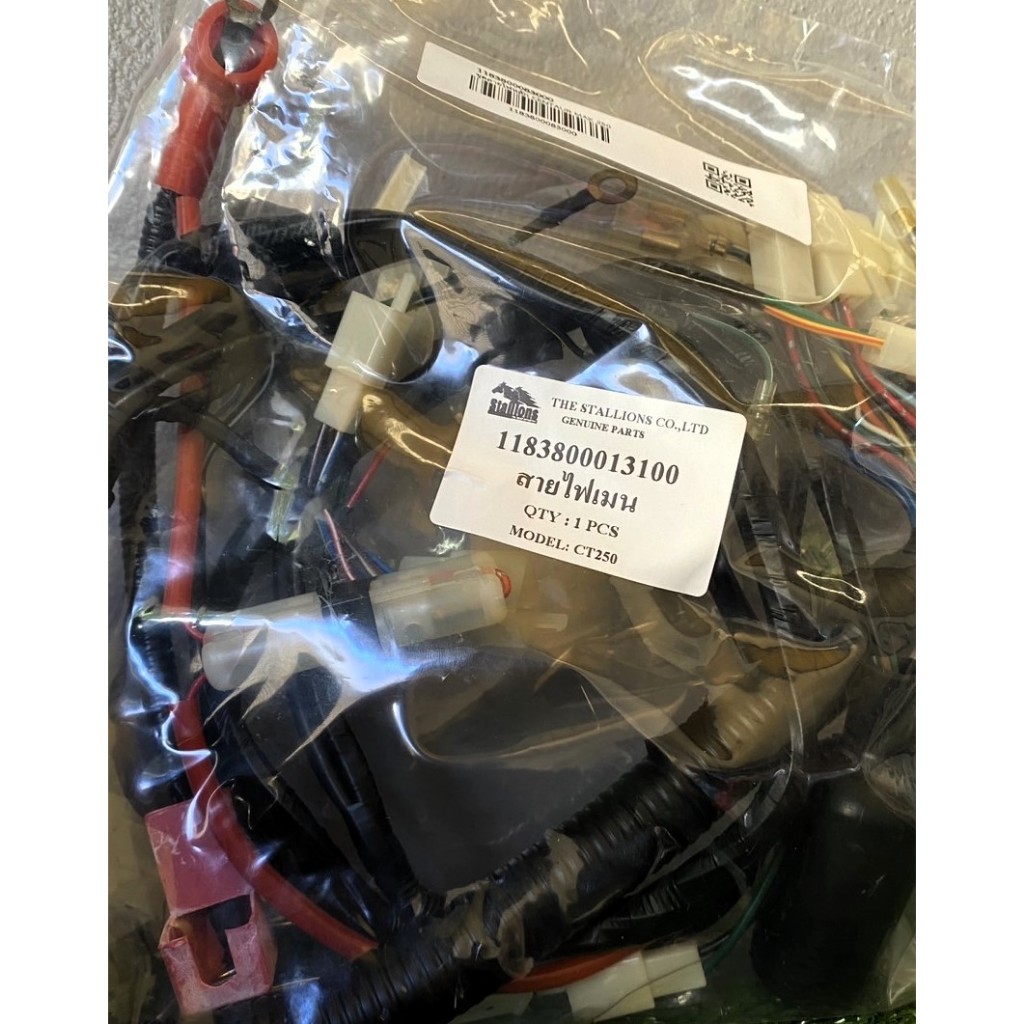 ชุดสายไฟหลัก  CENTAUR  MAX 250 /CT-250 MAX (1183800083000)