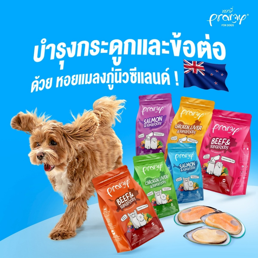 Pramy dog อาหารเม็ดสุนัขพรามี่ สูตรเน้นเนื้อแท้ โปรตีนสูง เสริมสร้างสุขภาพแบบรอบด้าน ขนาด 1kg - 1.3kg - รูปที่ 5