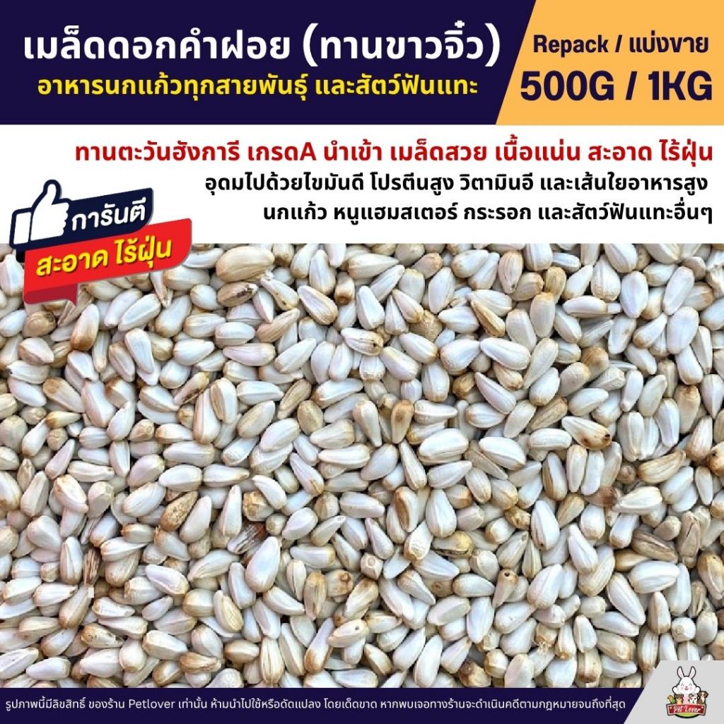 ดอกคำฝอย Safflower (ทานตะวันขาวจิ๋ว) เกรดA เม็ดเล็ก อาหารนกแก้วและสัตว์ฟันแทะ (แบ่งขาย 500G / 1KG)