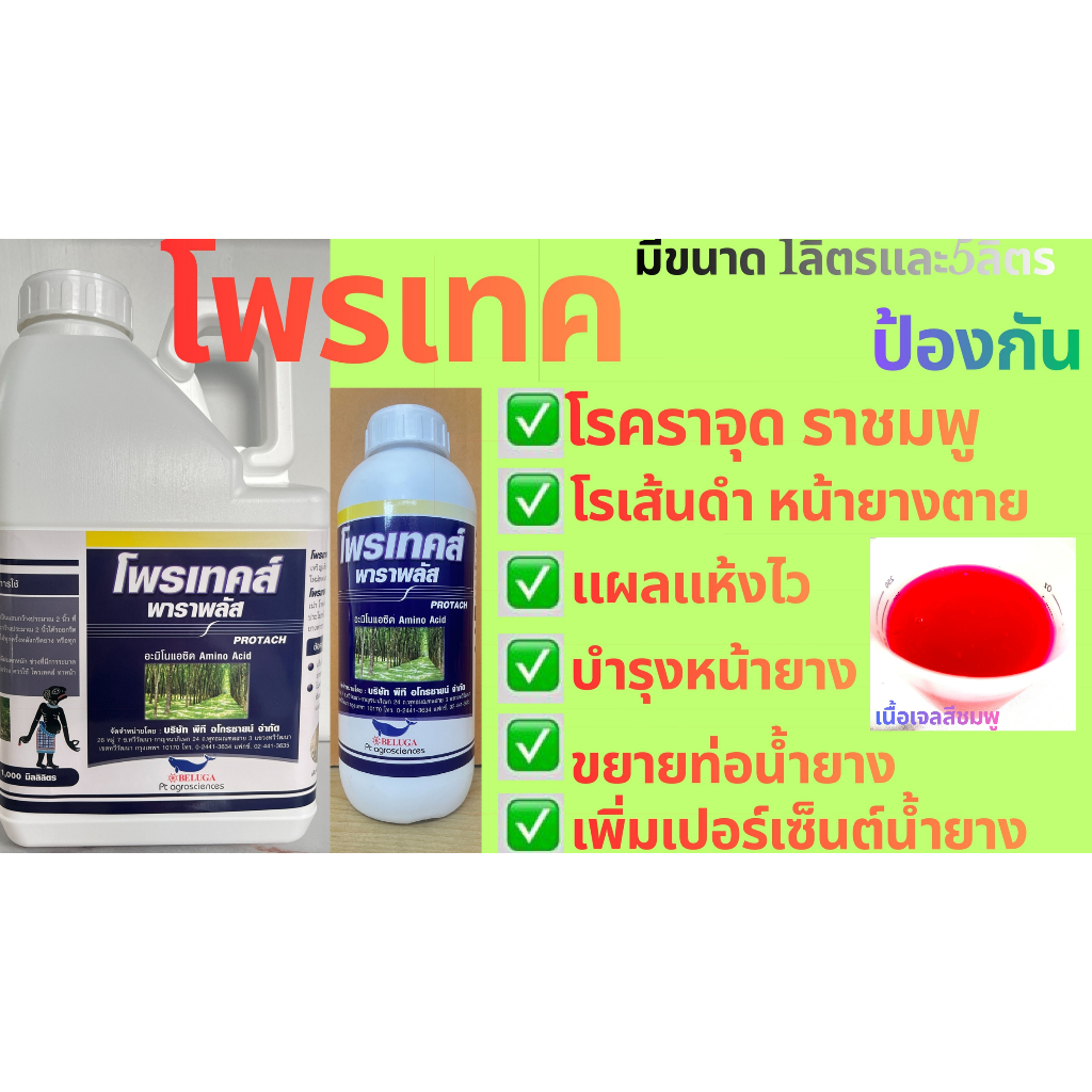 สารทาหน้ายาง โพรเทคส์ (เนื้อเจลสีชมพู) ทาบำรุงหน้ายาง ไม่มีสารเร่งน้ำยาง ขนาด 1 ลิตร และ 5ลิตร