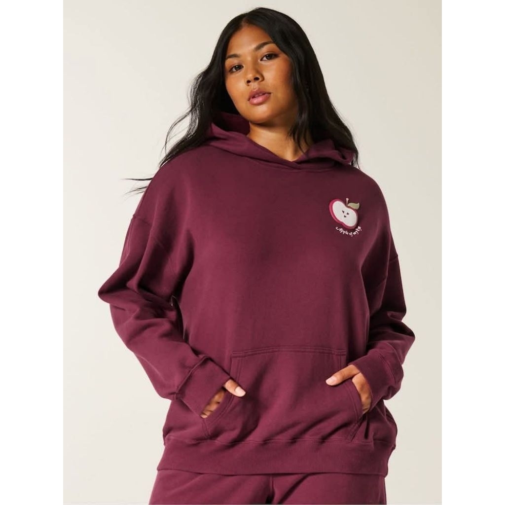 Hollister Pop Over Graphic Hoodie Sweater