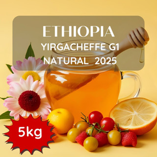 สารเมล็ดกาแฟ Ethiopia Yigracheffe G1 Natural 2025 ขนาด 5kg