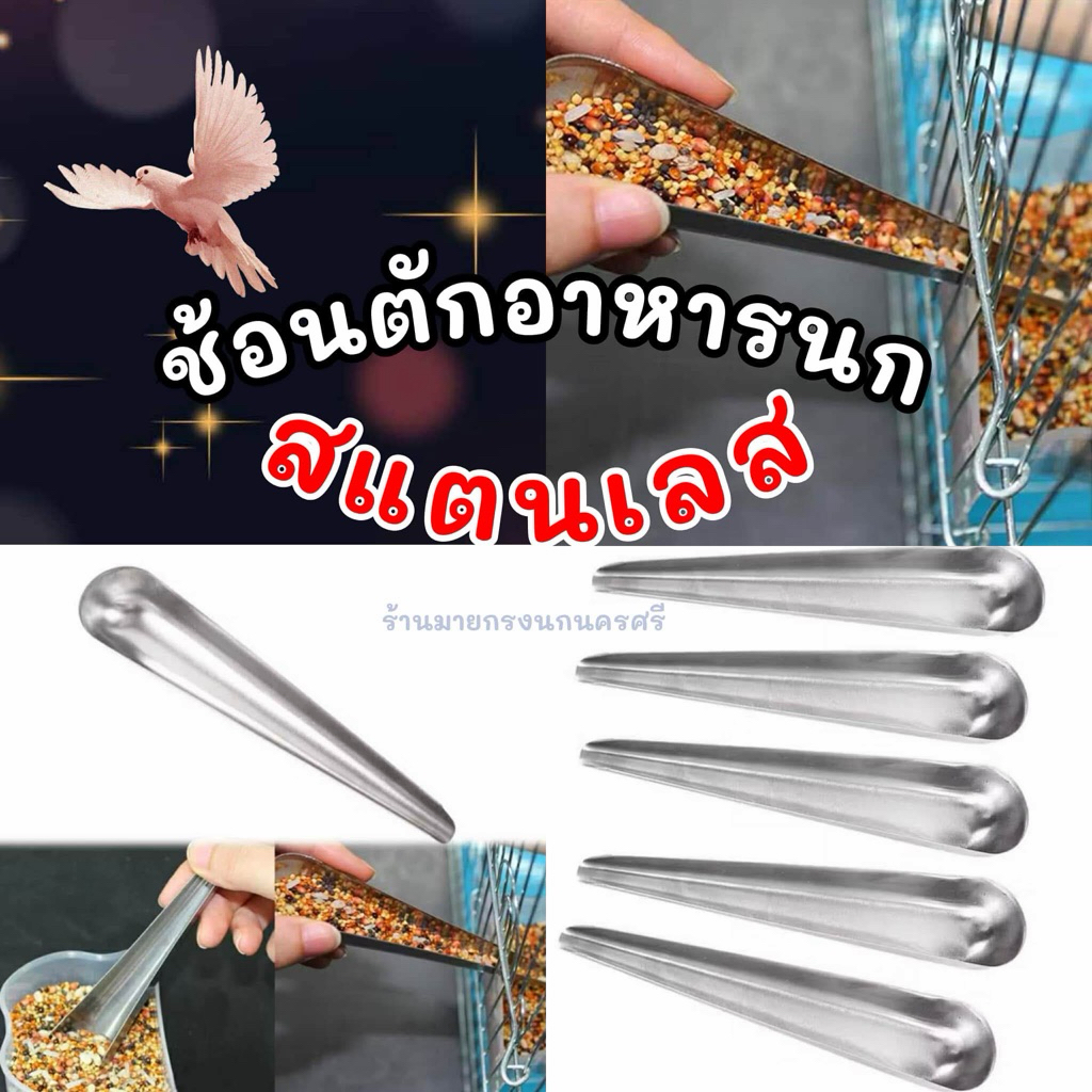 ✨ใช้ดีมาก✨ช้อนตักอาหารนก สเเตนเลสอย่างดี👍 📍🩷
