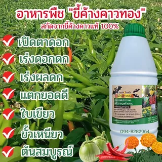ขี้ค้างคาวทอง น้ำหมักขี้ค้างคาวแท้ 100%