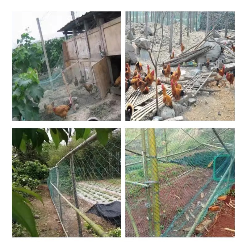 🕸️ทนฉีกขาดและต่อต้านวัย ตาข่ายกันนก เขียวดำ ตาข่ายไนล่อน 2*15M/4*20M อวนล้อมไก่ ตาข่ายอเนกประสงค์ กั้นสัตว์ กันนก กันง - รูปที่ 4