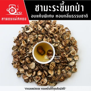ชามะระขี้นกป่า 100 กรัม มะระขี้นก ผลิตจากมะระขี้นกป่าธรรมชาติ 100% จากดอยแม่สลอง ชาดอยแม่สลอง