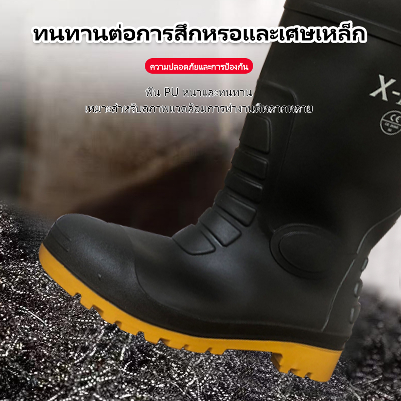 รูปภาพ 8