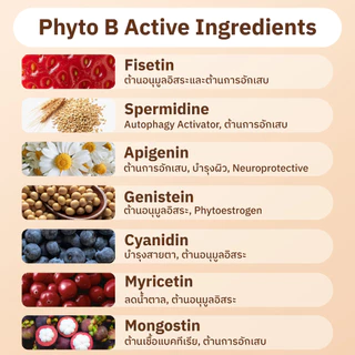 LIVMORE Phyto Series A+B | เซ็ตคู่กู้เซลล์เสื่อม (Autophagy) | ปรับฮอร์โมน ย้อนวัยระดับ DNA|ปรับสมดุลระบบเผา