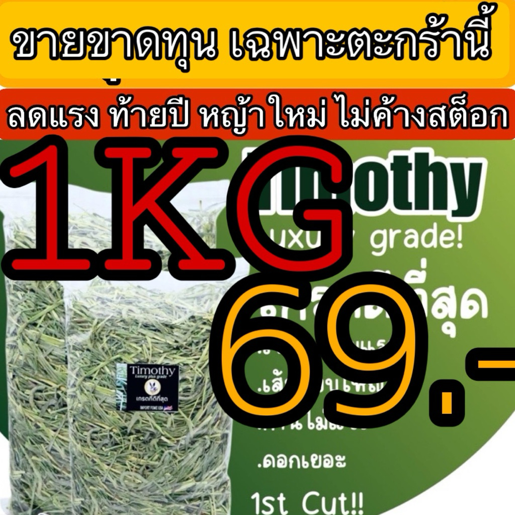 🎉ขายขาดทุนแค่สิ้นเดือน แนะนำให้ตุน🎉 ทิมโมธี 1กก Timothy คัท1 ใบเยอะ ดอกเยอะ ขายดี