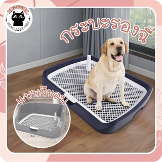 🌵 ถาดรองฉี่สุนัข แผ่นรองขับถ่ายสุนัข ถาดรองซับสุนัข ถาดรองฉี…