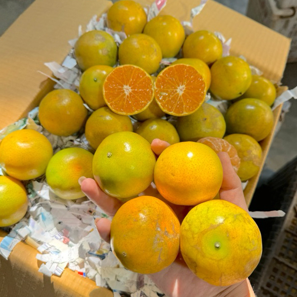 🍊ส้มสายน้ำผึ้งฝาง(เบอร์4 )น้ำหนัก5กิโล ไม่รวมกล่องค่ะ จัดส่งฟรี✅