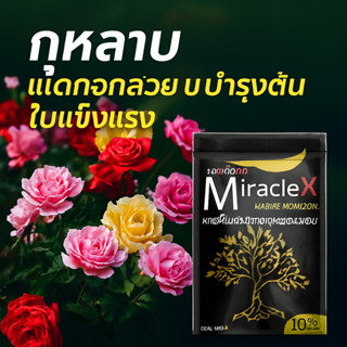 มิราเคิล แตกยอดเร็วมาก ใบเขียว สังเคราะห์แสงดี รากแข็งแรง ดู…
