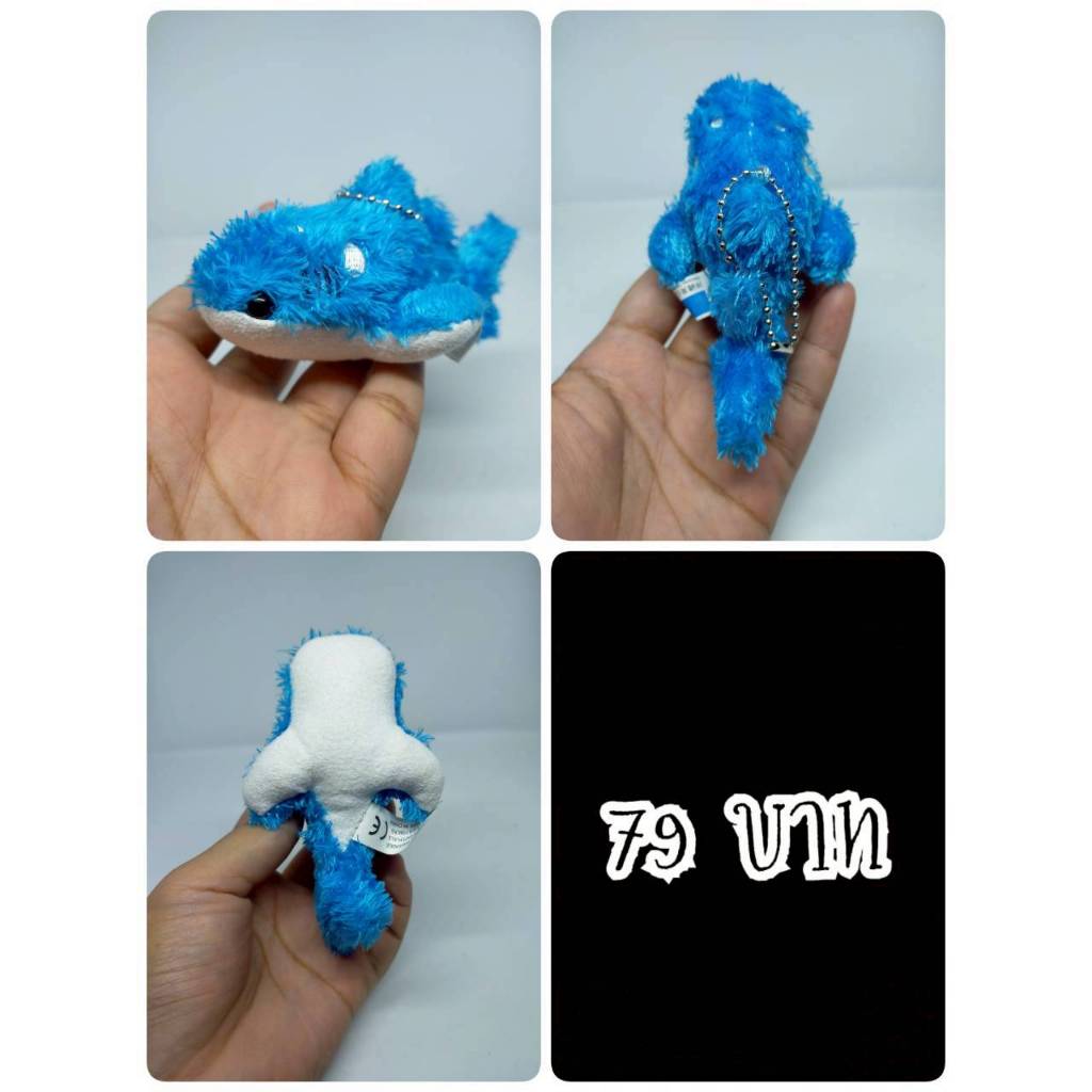 Whale Shark#ฉลามวาฬ#ปลา#Okinawa Churaumi Aquarium#งานพวงญี่ปุ่นมือสอง