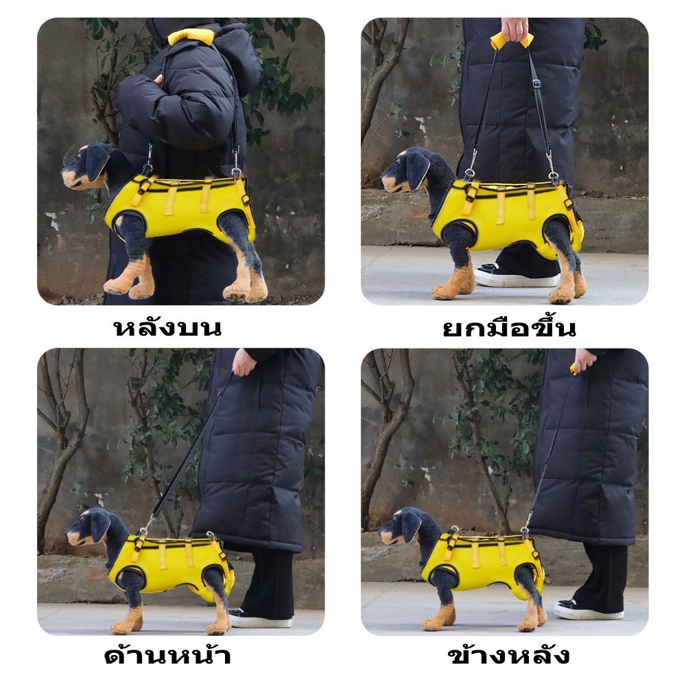 Thumbnail 9
