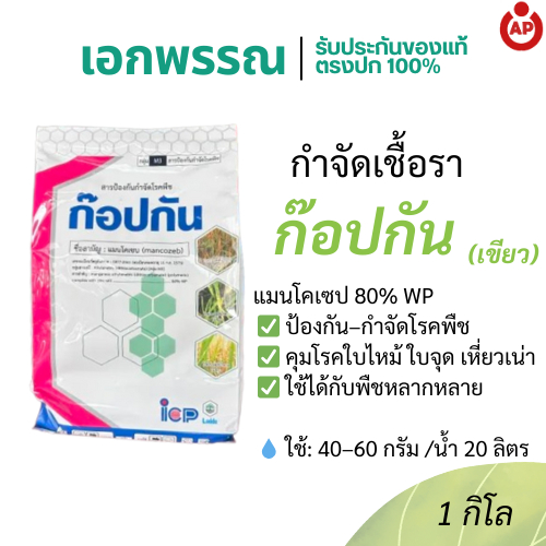 ก๊อปกัน แมนโคเซบ 80% (เนื้อยาสีเขียว) ยาป้องกันเชื้อรา ใบไหม้ แอนแทรคโนส ผักผลไม้ ขนาด 1 กิโลกรัม