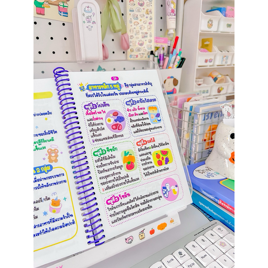 รูปภาพ 8