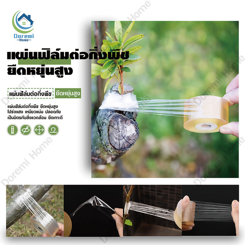 เทปพันกิ่งไม้ 3/5/10 ซม. ยาว 200 เมตร ผลิตจากฟิล์ม PE คุณภาพสูง ยืดหยุ่นสูงและกันน้ำ อุปกรณ์ตอนกิ่ง ผ้าเทปพันกิ่ง