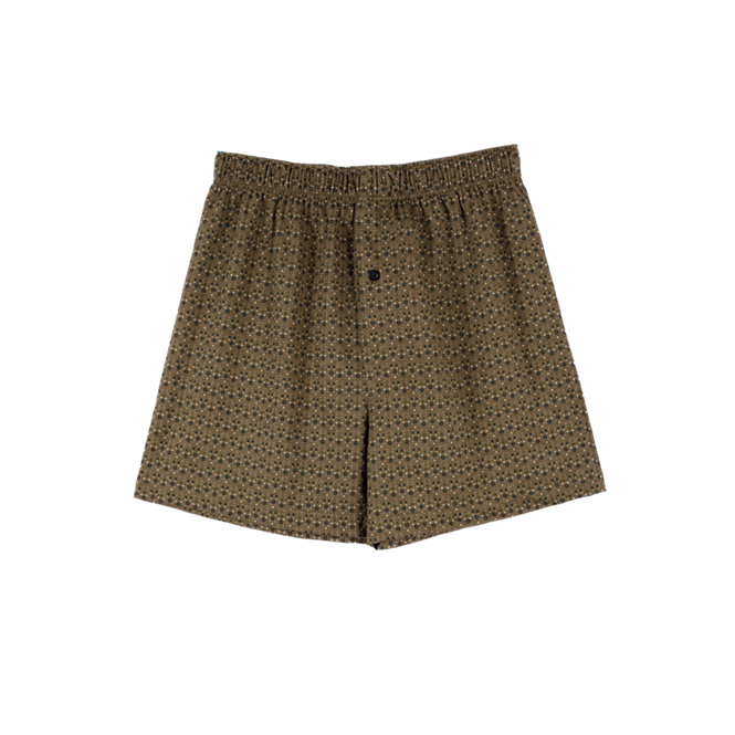 ARROW LITE BOXER SHORTS กางเกงบ๊อกเซอร์ชาย พิมพ์ลาย สีน้ำตาล  รุ่น ZX611BR