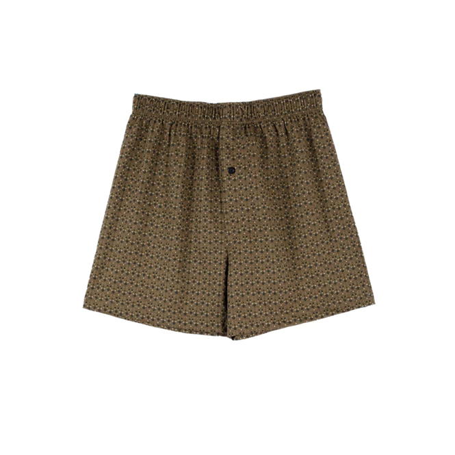 ARROW LITE BOXER SHORTS กางเกงบ๊อกเซอร์ชาย พิมพ์ลาย สีน้ำตาล รุ่น ZX611BR