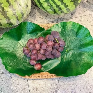 ใบบัวเทียม ใบบัวสังเคราะห์ ใบบัวเทียม ใบบัวจำลอง ใช้ตกแต่งห้องอาหาร เป็นแผ่นรองจานกันลื่น และเป็นพร็อพถ่ายรูป
