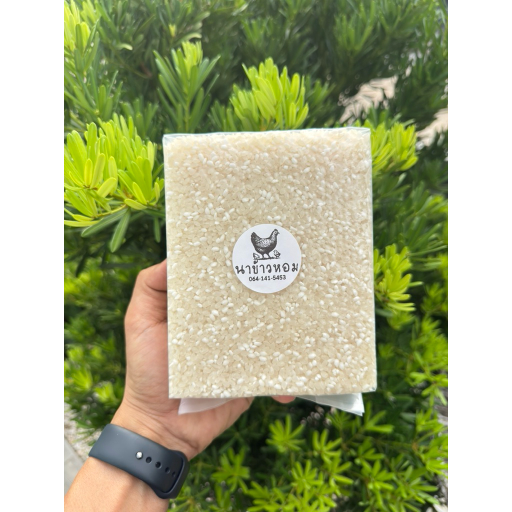 ข้าวเหนียว ไก่น้อย (ข้าวใหม่ )  1  กิโลกรัม หอม นุ่ม อร่อย คุ้มค่า