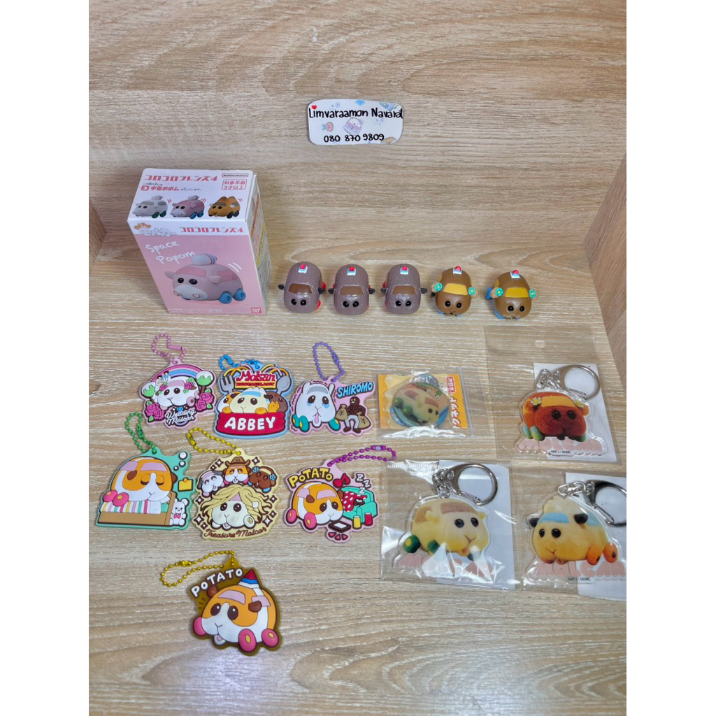 (มือสอง/พร้อมส่ง)🍎รถหนู PuiPui molcar🐭