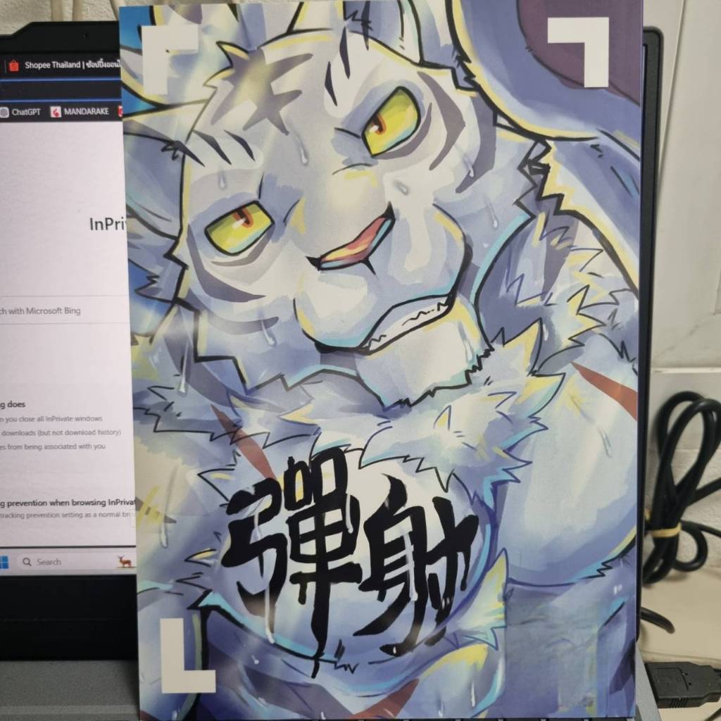 หนังสือ การ์ตูน มือสอง kemono furry artbook cheung