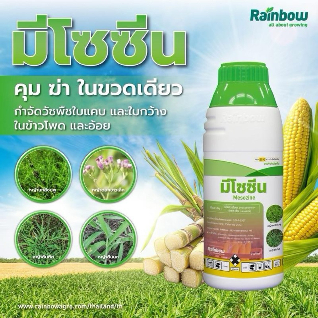 มีโซซีน (มีโซไตรโอน + อะทราซีน ) ขนาด 1 ลิตร คุม-ฆ่า หญ้าในไร่ข้าวโพด อ้อย  1ขวดใช้ได้พื้นที่ 2ไร่