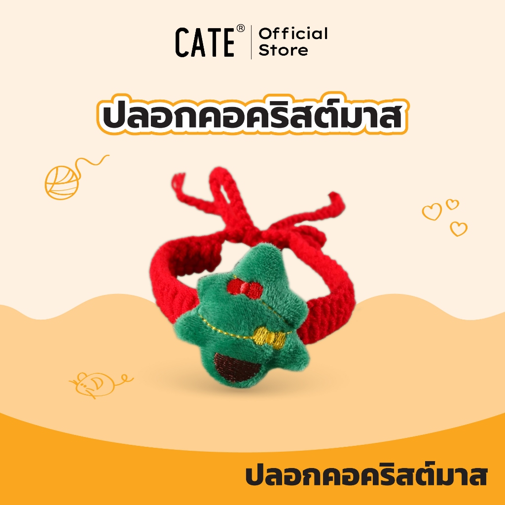 รูปภาพ 5