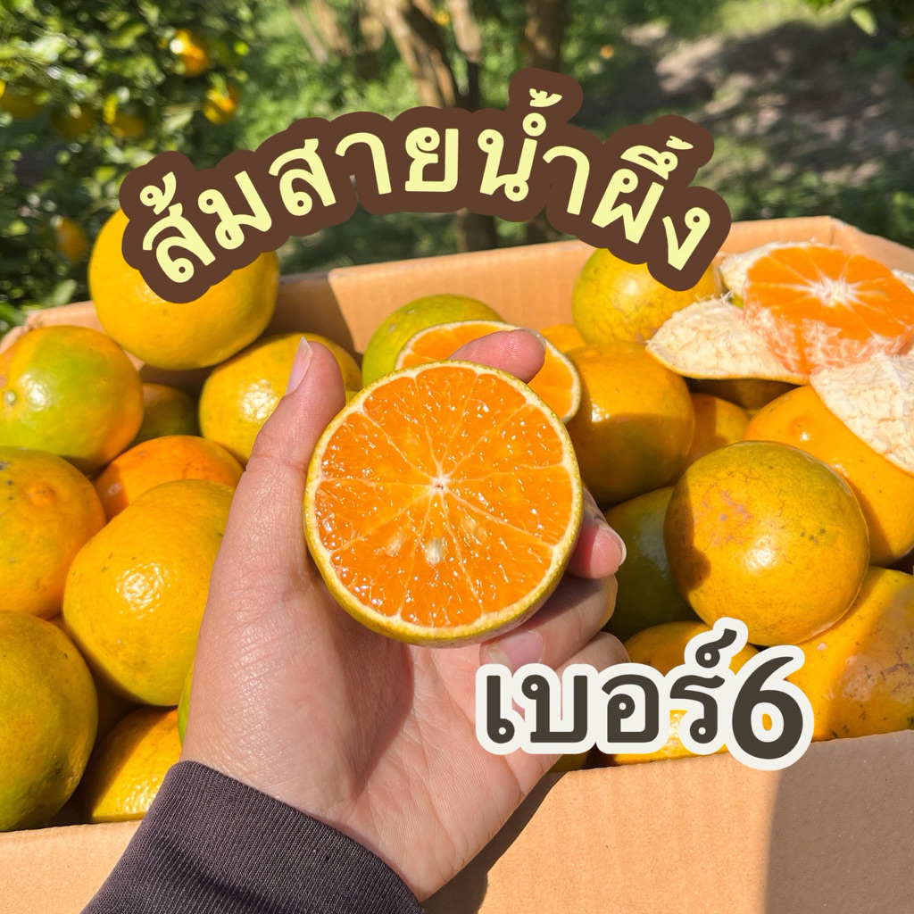 ส้มสายน้ำผึ้งเบอร์ใหญ่ผิวลาย3โลรวมกล่อง(เบอร์6)