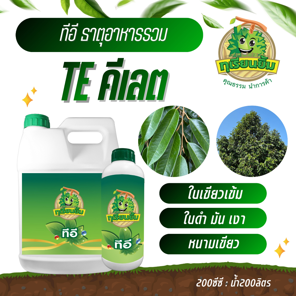 ทีอี  ( คีเลต ) ธาตุรอง ธาตุเสริม - ช่วยทำให้ใบใหญ่ หนา ดำ มัน เงา สะสมอาหารได้ดี ใบไม่เป็นไล่เค่น