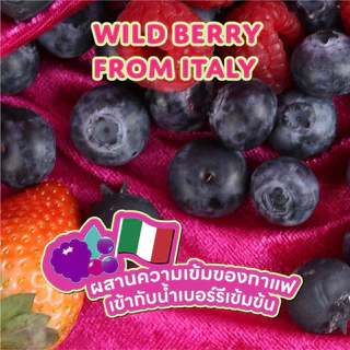 BREWiE กาแฟสกัดเย็น ไวล์ดเบอร์รี่ 1 ลิตร (Wildberry Cold Brew) กาแฟผลไม้รสเปรี้ยวหวาน สารสกัด Superberries สดชื่นรีเฟรช