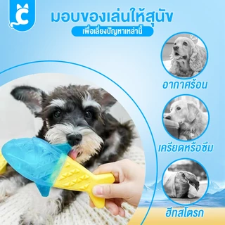 [ส่งฟรี🇹🇭] CleverPet ของเล่นสุนัข ของเล่นคลายร้อน ของเล่นหมาขัดฟัน ไอติมหมา Cooling Dog Toy