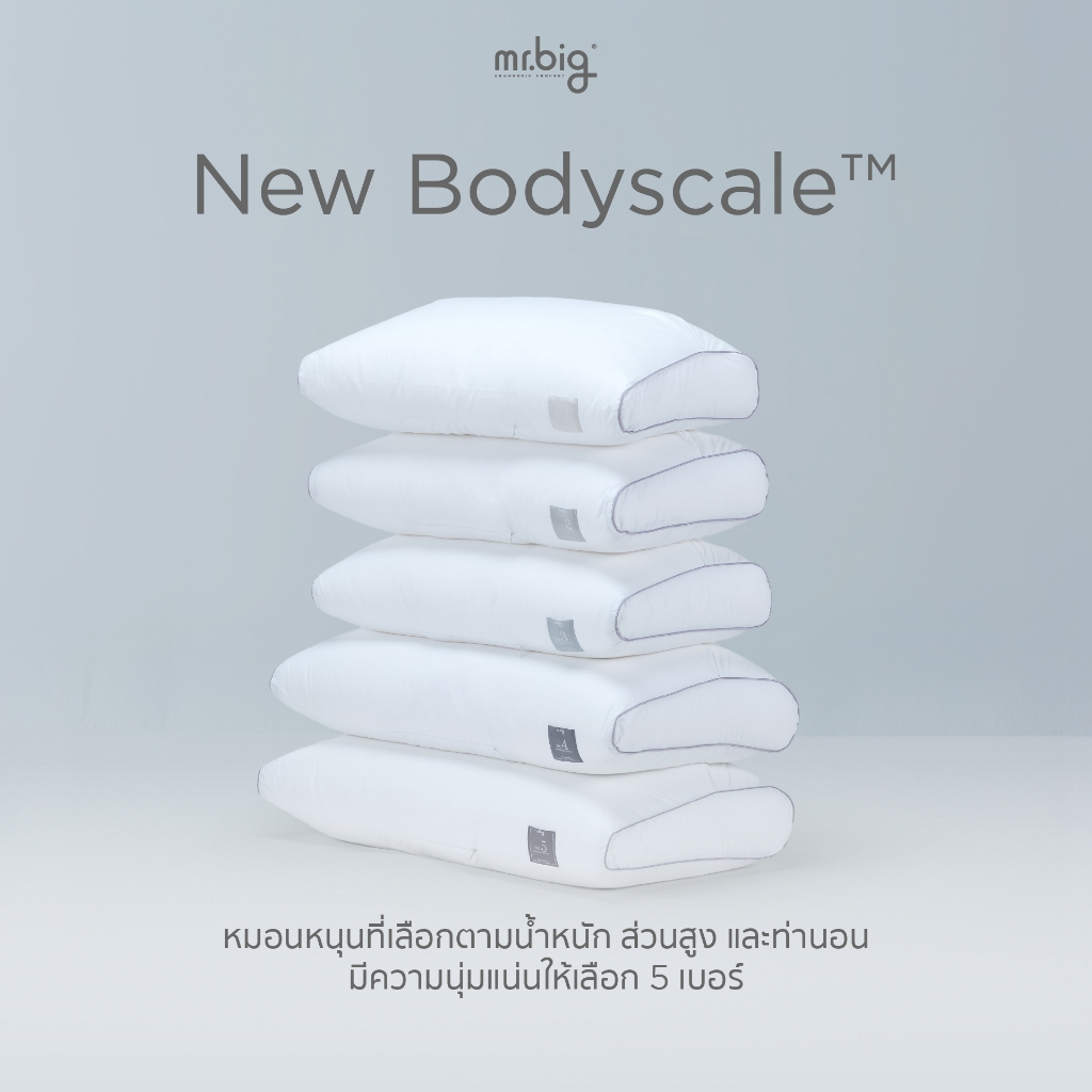 mr.big BodyScale Pillow หมอนหนุน Ergonomic เลือกตามน้ำหนัก/ส่วนสูง/ท่านอน ออกแบบโดยนักกายภาพบำบัดโดย