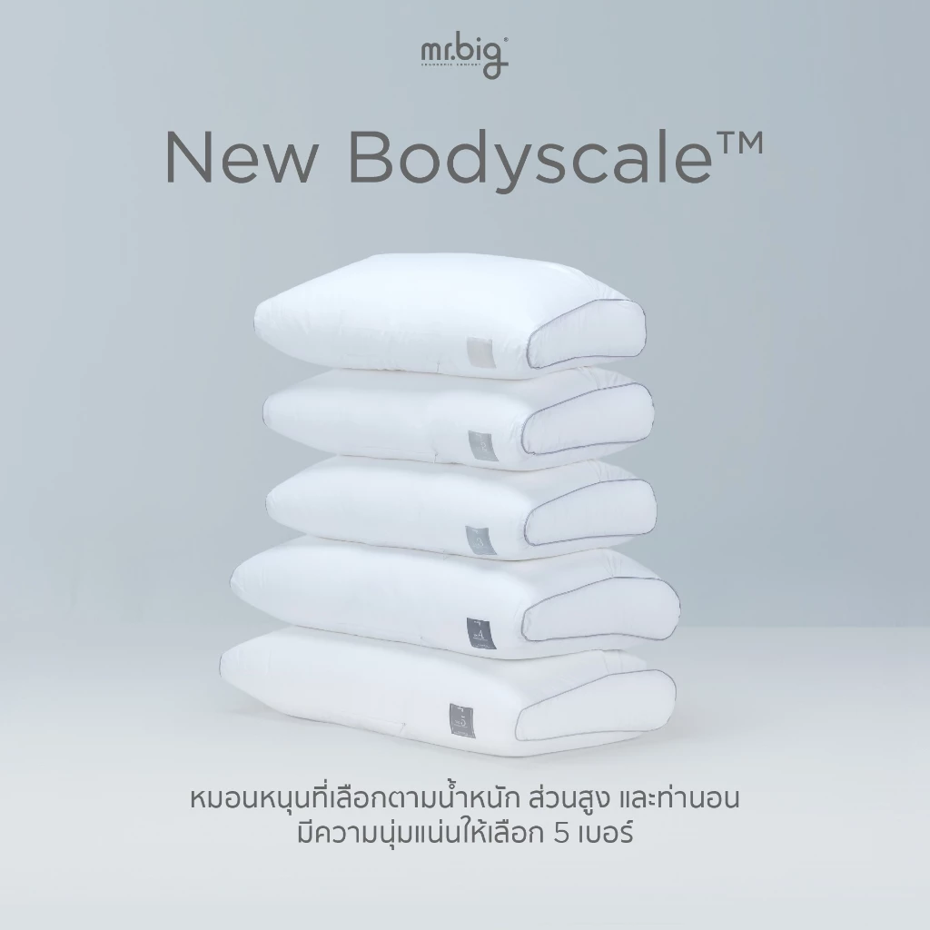 mr.big BodyScale Pillow หมอนหนุน Ergonomic เลือกตามน้ำหนัก/ส่วนสูง/ท่านอน ออกแบบโดยนักกายภาพบำบัดโดยข้อมูลจากสรีระคนไทย