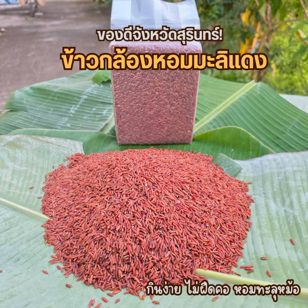 ข้าวกล้องหอมมะลิแดง สุรินทร์ 100% บรรจุ 1 กิโลกรัม กินง่าย ดีต่อสุขภาพ