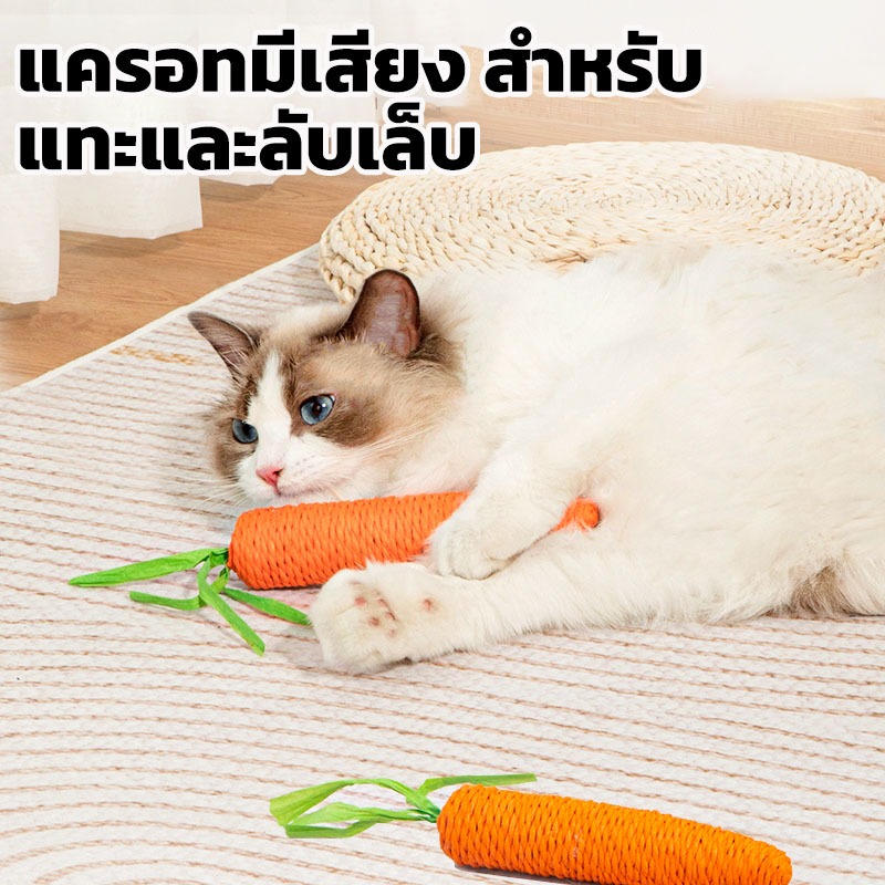 ⚡การจัดส่งที่รวดเร็ว⚡ตุ๊กตาปลา ของเล่นตุ๊กตาสัตว์เลี้ยง รูปการ์ตูนมิ้นท์ แบบโต้ตอบ และขี้เกียจ ของเล่นสําหรับแมว🐱