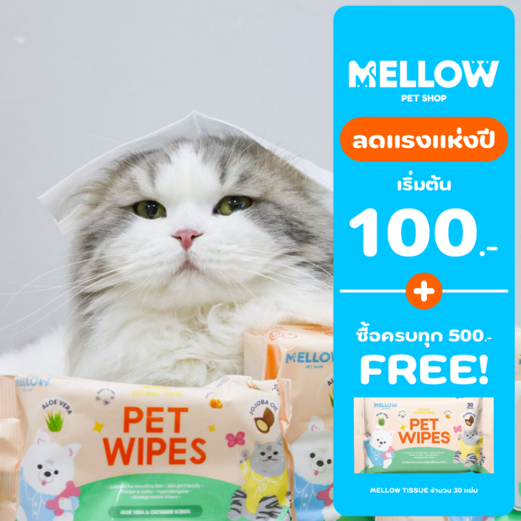 MELLOW TISSUE (ทิชชู่เปียกสำหรับน้องหมาน้องแมว)