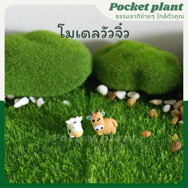 มุมมอง 3