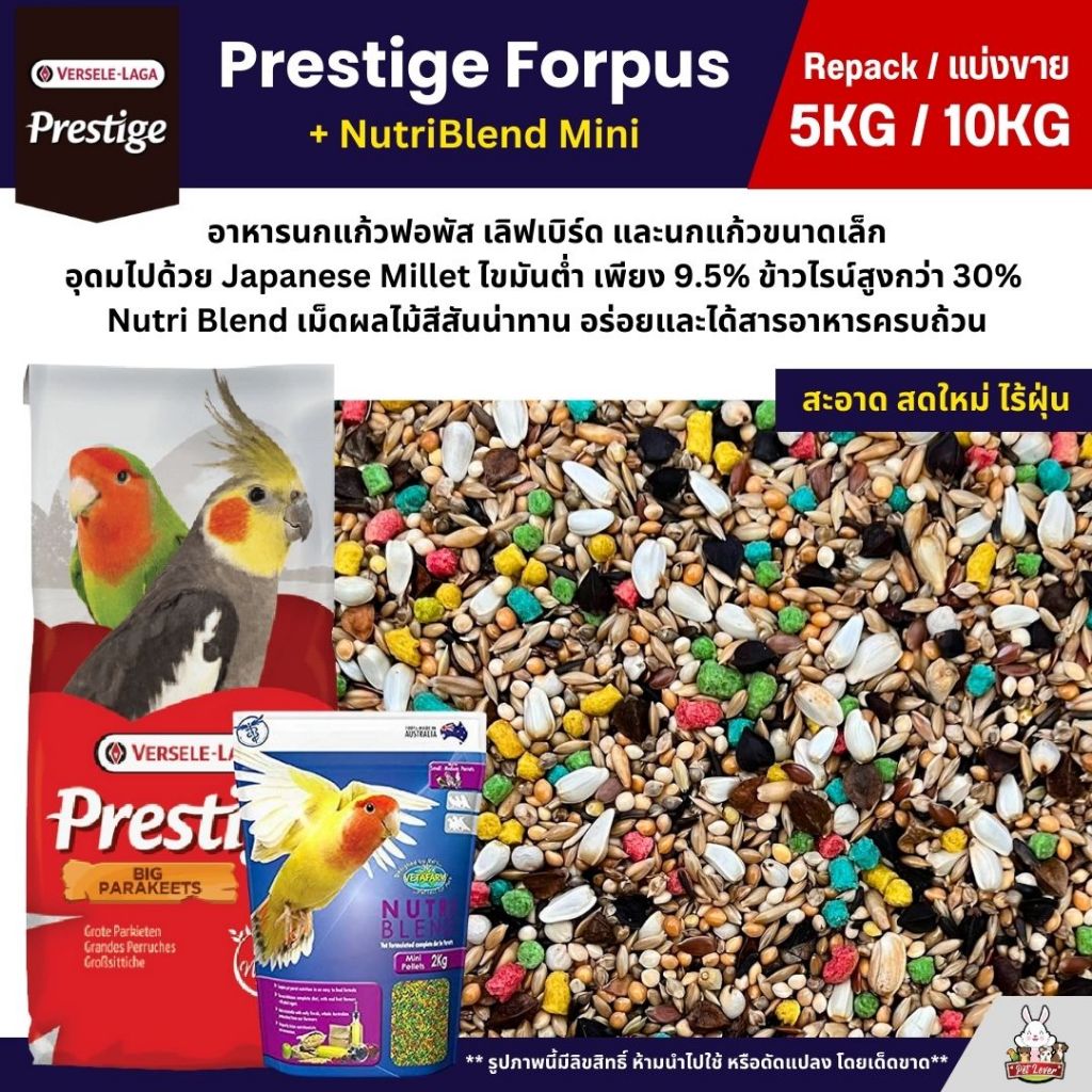 (5KG/10KG) Prestige Forpus x Nutri Blend Mini อาหารนกฟอพัส เลิฟเบิร์ด หงส์หยก ค็อกคาเทล ฯลฯ