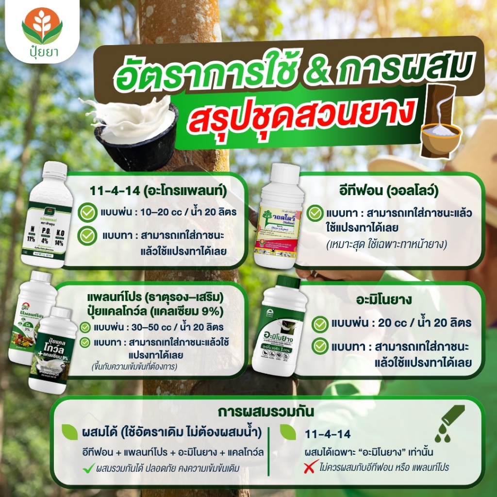 2 แถม 1! อะมิโนยาง (2ขวด) แถมฟรี! อีทีฟอน 500cc ชุดคูณกำไรสวนยาง – บำรุงต้น ฟื้นต้น 2 ขวด แถมฟรีตัวเร่งกรีด! - รูปที่ 4