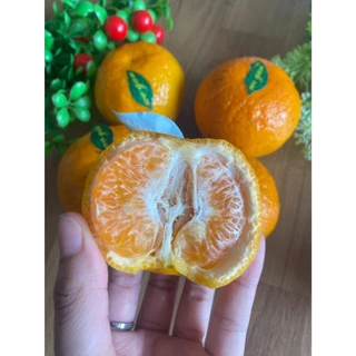 ส่งด่วน 4 ชม❤️.ส้มไต้หวัน (ยี่ห้อขายดี) ส้มเอเชียที่อร่อยที่สุด เปิดฤดูกาลแล้ว ขายดีสุดๆทุกปี