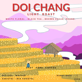 เมล็ดกาแฟคั่วเข้ม,คั่วกลาง,คั่วอ่อน ดอยช้าง (Doi Chang)