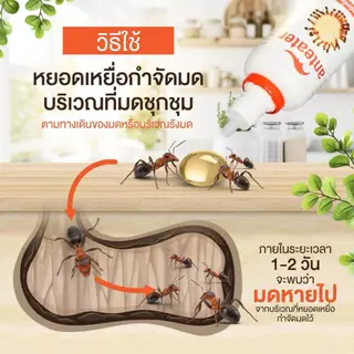 เจลกําจัดมด แอนท์อีทเทอร์ กําจัดมด