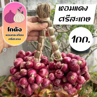 หอมแดงศรีสะเกษ กำแต่ง แท้ 1กิโลกรัม กลาง-ใหญ่