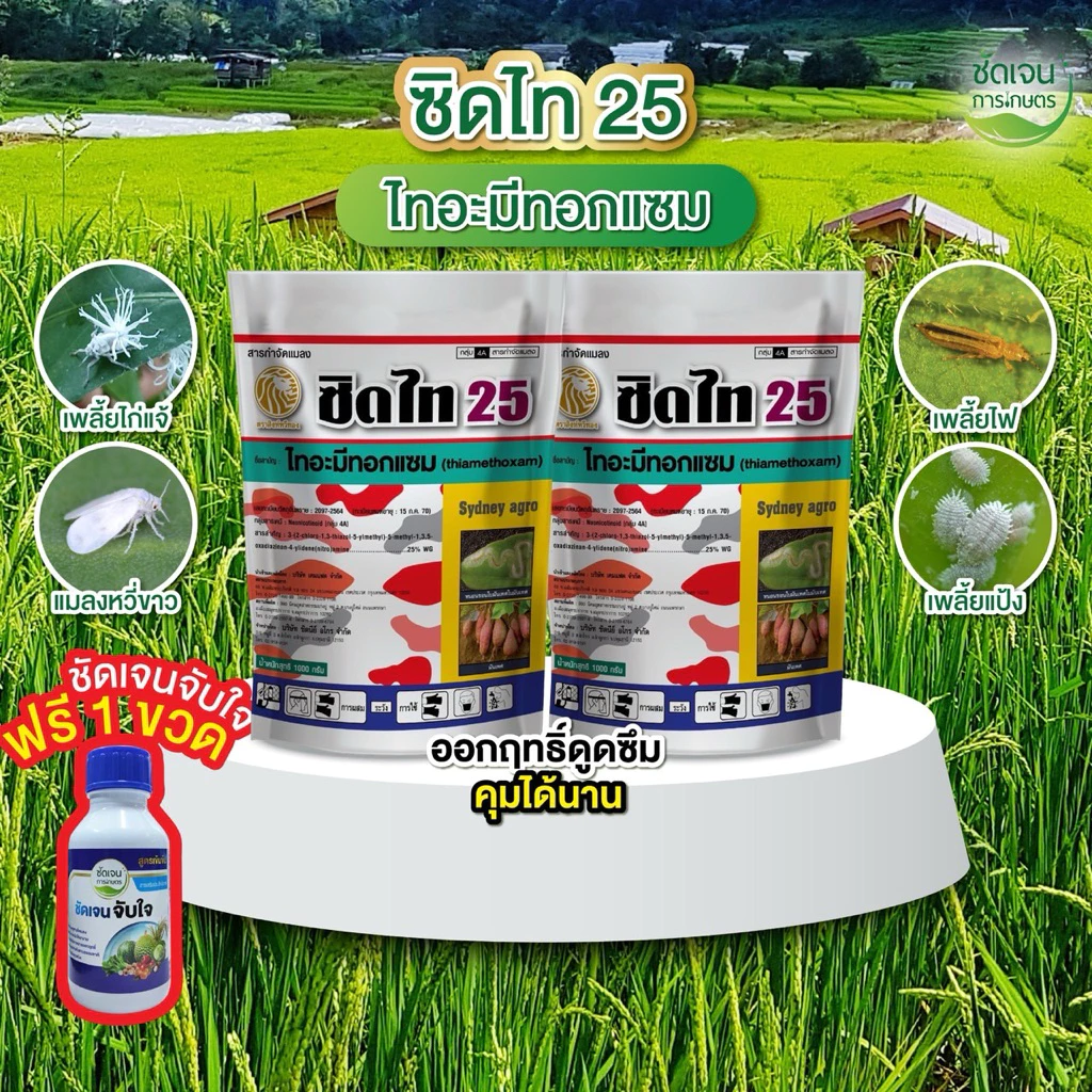 ซิดไท25**(2 กิโลกรัม แถมฟรีชัดเจนจับใจ) (ไทอะมีทอกแซม) เพลี้ย แมลงหวี่ขาว